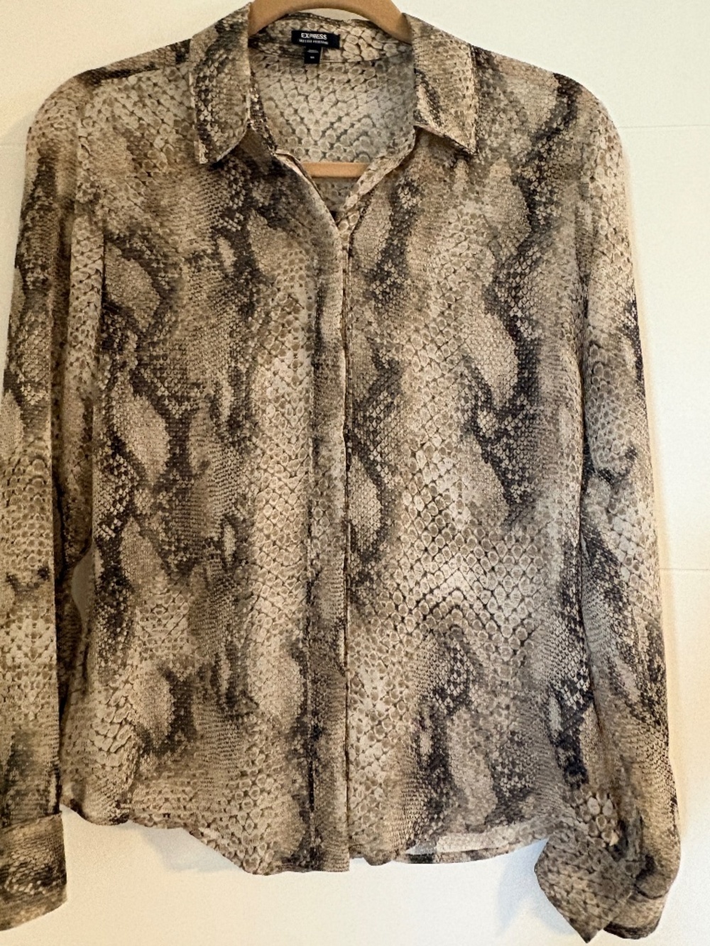 Express Snake Print Button-Down Blouse